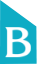 Biruni University